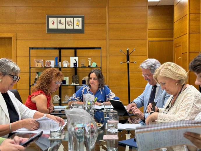 La consejera de Salud y Consumo de la Junta de Andalucía, Catalina García,en una reunión con el Comité Español de Representantes de Personas con Discapacidad (CERMI).