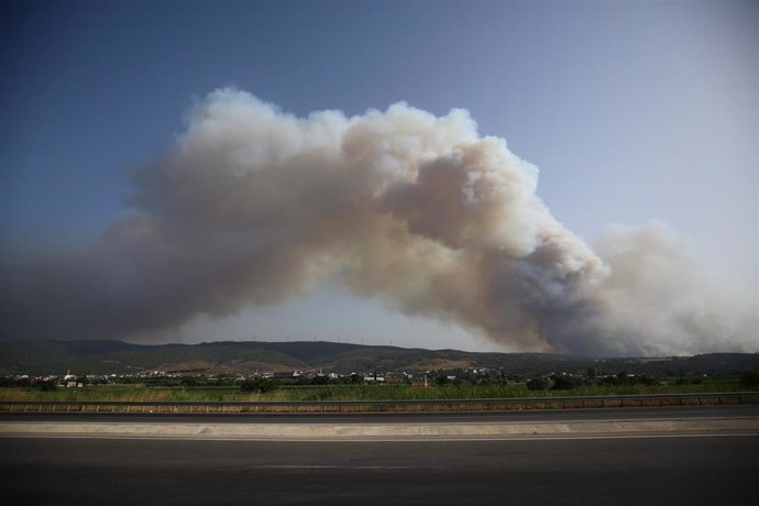 Archivo - Columna de humo a causa de un incendio en julio de 2023 en la provincia de Esmirna, en Turquía (archivo)