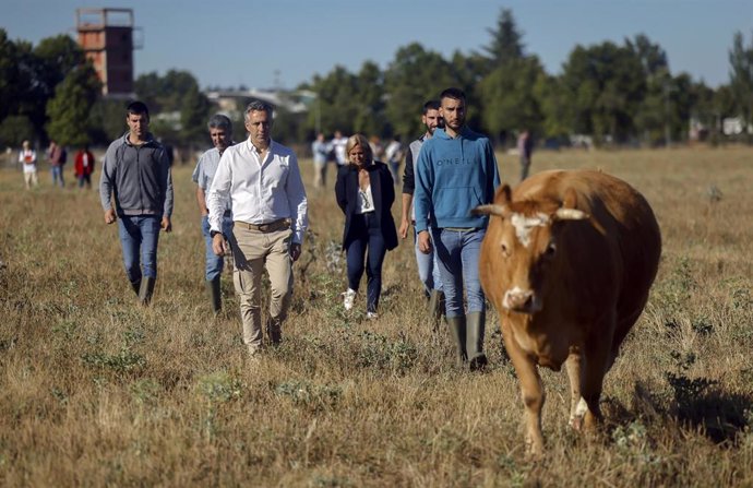 El consejero de Medio Ambiente, Agricultura e Interior, Carlos Novillo, durante su visita a una ganadería de vacuno en Collado Villalba.