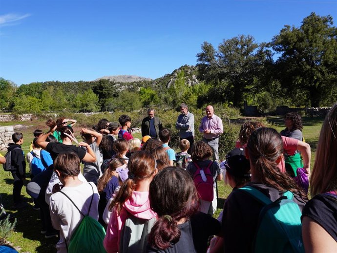 Más de 13.000 alumnos y docentes se benefician del Servicio de transporte gratuito del Consell a la Serra de Tramuntana