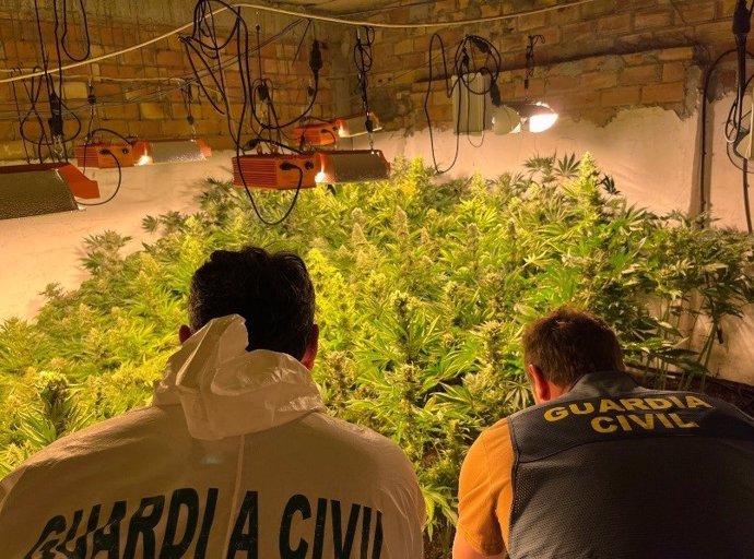 Operación de la Guardia Civil contra la producción de marihuana en Loja