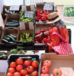 Cajas de hortalizas en un mercado de la Comunidad de Madrid, a 12 de junio de 2024, en Madrid (España). 