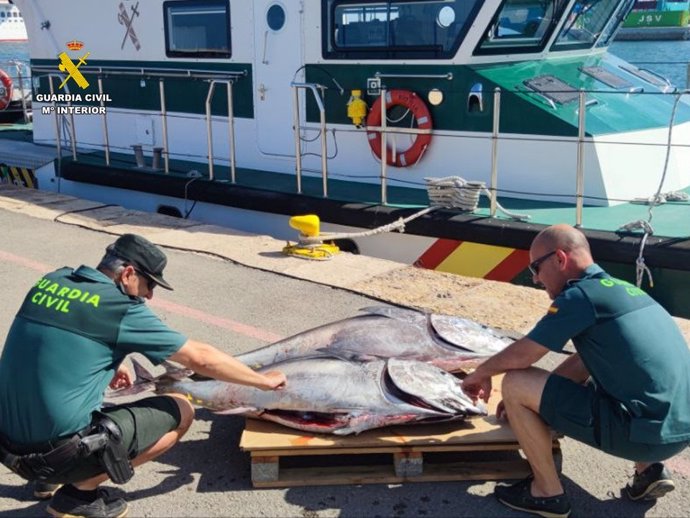 La Guardia Civil intensifica la vigilancia contra la pesca ilegal del atún rojo en la provincia de Alicante