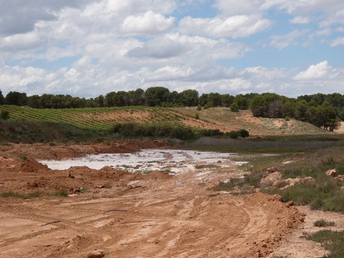 Amigos de la Tierra demanda la recuperación de un espacio natural afectado por las obras de la Ronda Sur de Logroño