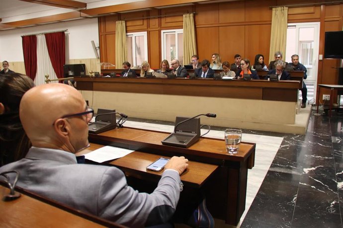 Archivo - Celebración del Pleno Extraordinario del Ayuntamiento de Córdoba. (Foto de archivo).