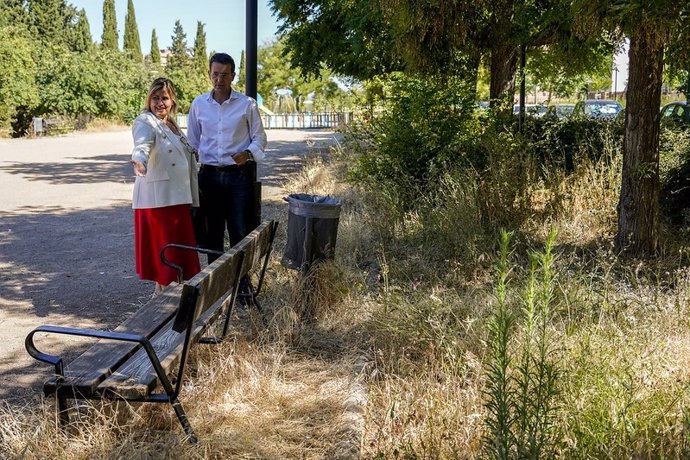 El portavoz del PSOE en el Ayuntamiento de Granada, Francisco Cuenca (PSOE) critica el "mal estado" de los jardines de la calle Coso.