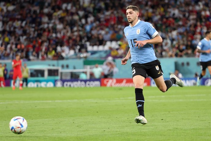 Archivo - Federico Valverde of Uruguay during the FIFA World Cup 2022, Group H football match between Uruguay and Korea Republic on November 24, 2022 at Education City Stadium in Doha, Qatar - Photo Jean Catuffe / DPPI