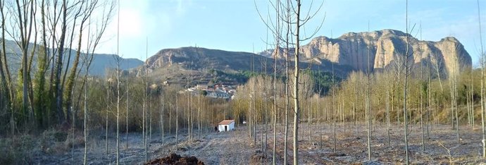 Archivo - El Gobierno de La Rioja mejora el suministro y la calidad del agua en el municipio de Bobadilla