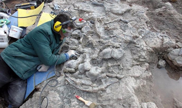 Archivo - Paleontólogos de la Fundación Dinópolis durante las labores de excavación e investigación de los fósiles de Dacentrurus armatus (El Castellar, Teruel).