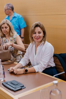 Krysten Martín, consejera de Comercio del Cabildo