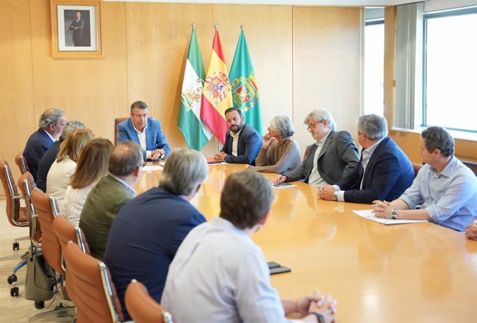 El presidente de la Diputación de Sevilla, Javier Fernández, durante la reunión que ha mantenido con el Colegio Oficial de Arquitectos de Sevilla y con la patronal sevillana de la construcción Gaesco.