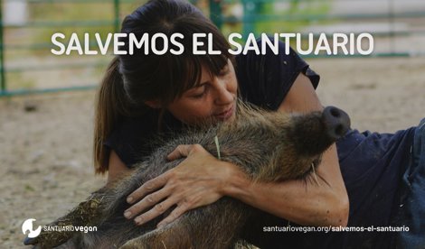 Comunicados Sociedad