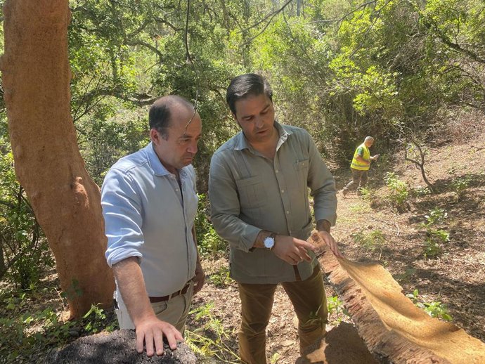 El delegado territorial de Sostenibilidad, Medio Ambiente y Economía Azul, Pedro Yórquez (derecha), durante su visita a los últimos trabajos de descorche  en el monte público Santa Clara-El Vínculo, de Aroche.