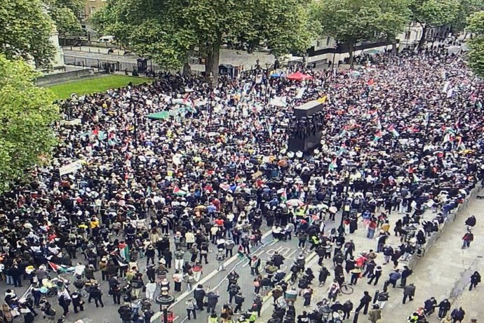 Tres policías heridos y 40 detenidos en una manifestación propalestina en Londres  POLICÍA METROPOLITANA  29/5/2024