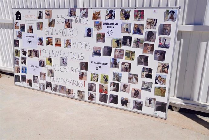 La Sociedad Protectora de Animales y Plantas celebra en Melilla su 55 aniversario bajo el lema ’55 años salvando vidas’