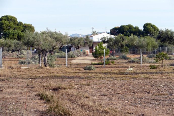 Fiscalía denuncia ante el juzgado construcciones en "suelo no urbanizable protegido" en el Prat Cabanes-Torreblanca