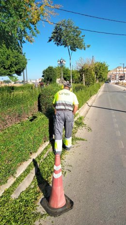 Un operario realiza labores de mantenimiento de una zona verde