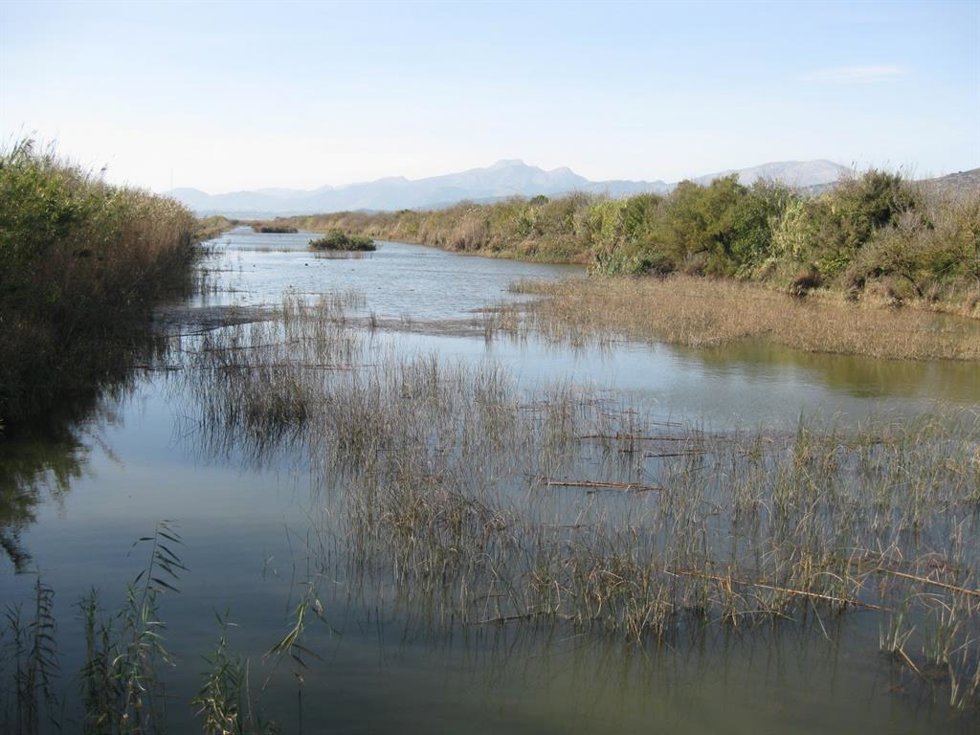 Paisaje de secano y encinas de la IBA234 Los Blázquez-La Granjuela-Fuenteovejuna.