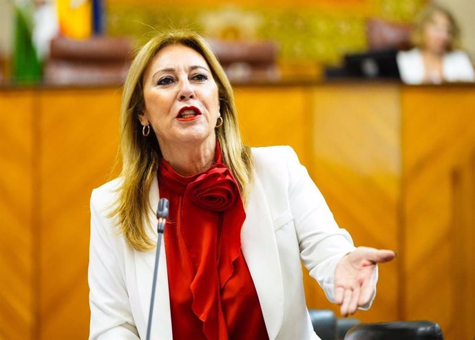 La consejera de Economía, Carolina España, en una imagen de archivo en el Parlamento.