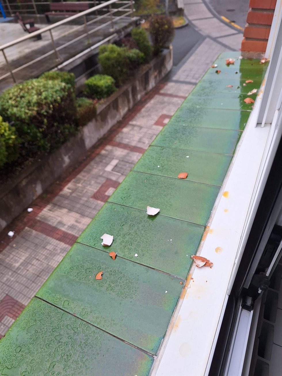 Ayuntamiento de Ugao-Miraballes rechaza el ataque con huevos contra el domicilio de una edil de PNV.