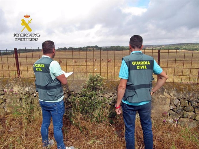 AGentes de la Guardia Civil investigan estafas a ganaderos