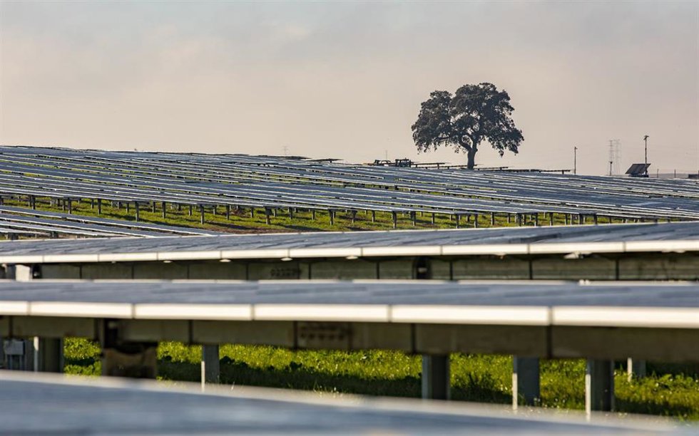 Archivo - Una de las plantas de Alter Enersun en Huelva capital.