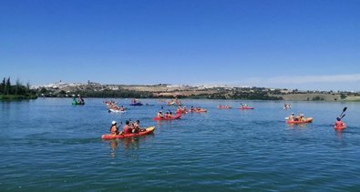 Cádiz al día