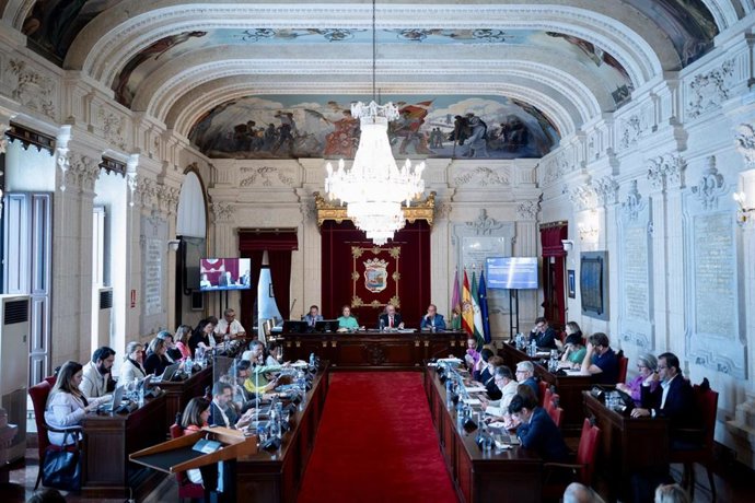 Archivo - Pleno del Ayuntamiento de Málaga en una imagen de archivo 