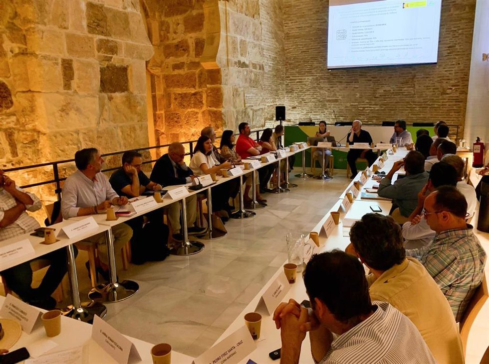 Imagen de la reunión mantenida en Sevilla sede de Sevilla con los principales sectores del entorno de Doñana.