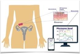 La UA y la TUD crean un biosensor y un sistema inteligente de monitorización remota de los niveles hormonales