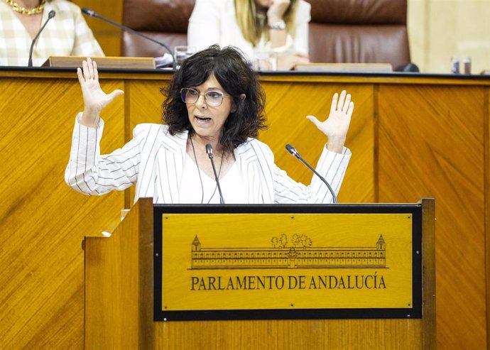 La portavoz de Salud del Grupo Socialista en el Parlamento andaluz, María Ángeles Prieto, interviene en el Pleno. (Foto de archivo).
