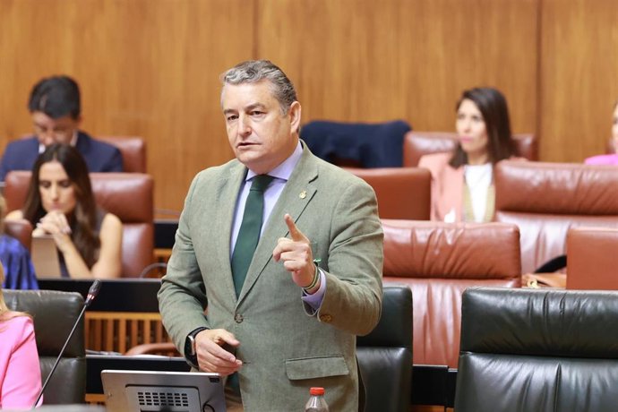 El consejero de la Presidencia, Antonio Sanz, en una imagen de archivo en el Pleno del Parlamento. 