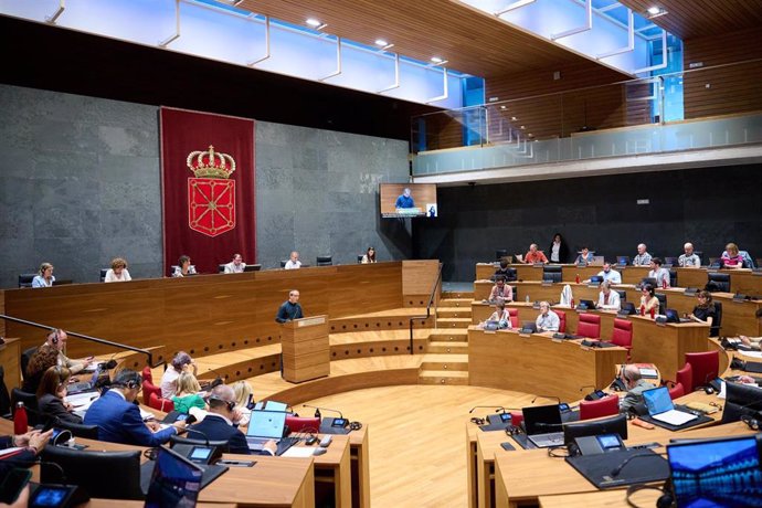 Pleno del Parlamento de Navarra.