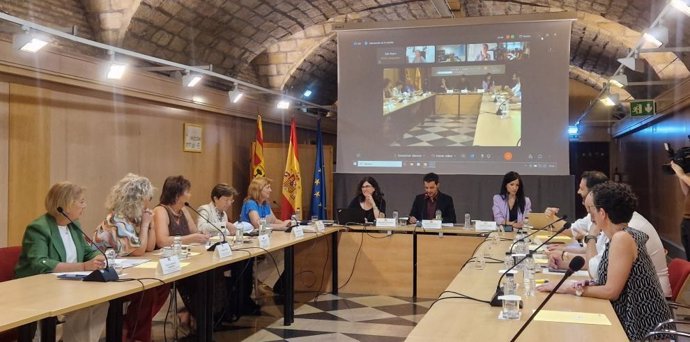 La Comisión de Salud Pública del CISNS se ha celebrado con algunos de los directores generales presentes y otros conectados por videoconferenecia.