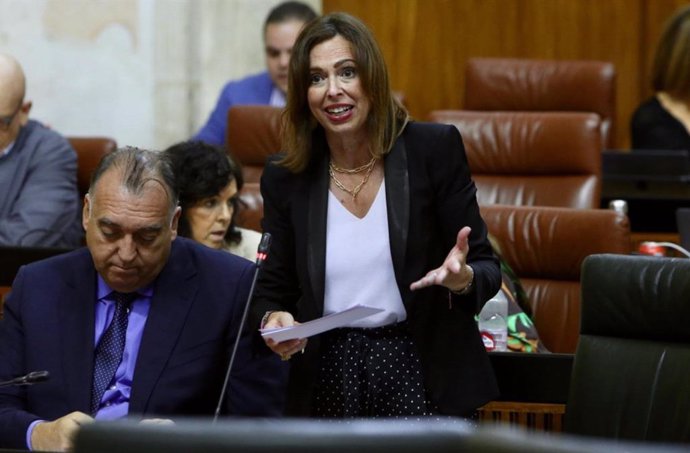 La consejera Rocío Díaz, en el pleno del Parlamento.