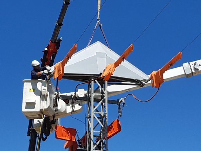 Endesa instala en Lleida prototipos para impedir que las cigüeñas construyan nidos en las torres