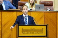Parlamento aprueba respaldo a sentencias de "responsabilidades personales" en el caso ERE y que Junta recurra amnistía