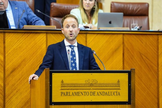 El diputado del PP Erik Domínguez, este jueves en la tribuna del Parlamento en la defensa de una PNL.
