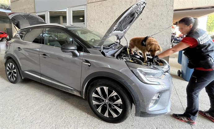 Turismo robado en Alfaro y recuperado, siendo inspeccionado por guía canino.