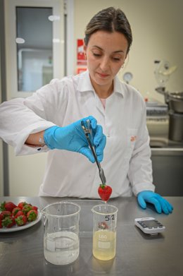 Archivo - Investigadora de Ainia