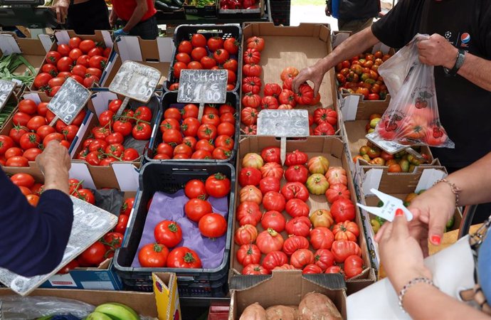Cajas de tomates en un mercado de la Comunidad de Madrid, a 12 de junio de 2024, en Madrid (España). El Gobierno ha afirmado hoy que su intención es prorrogar la rebaja del IVA a algunos alimentos que finaliza el próximo 30 de junio porque sus precios sig