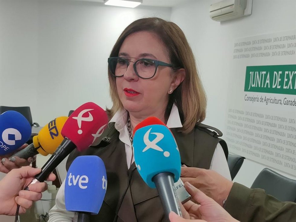 Agricultura.- Extremadura cree que la planificación de Red Eléctrica "coarta" su desarrollo porque "deja fuera muchos proyectos"