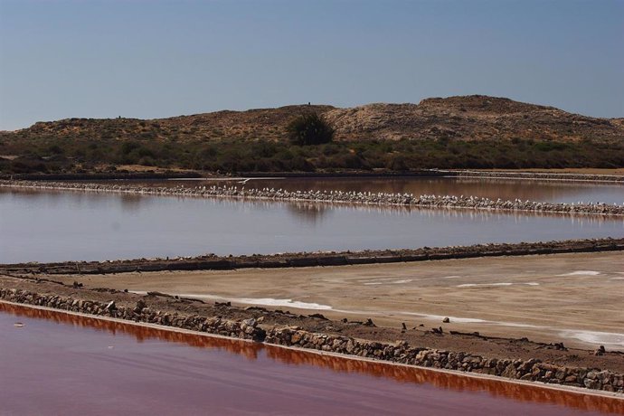 Vista de las Salinas del Rasall del Parque Regional de Calblanque