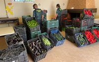 Recuperada más de una tonelada de verduras robadas en la comarca del Almanzora (Almería), con dos investigados
