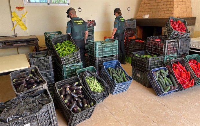 Los agentes de la Guardia Civil  intervienen más de una tonelada de verduras robadas.