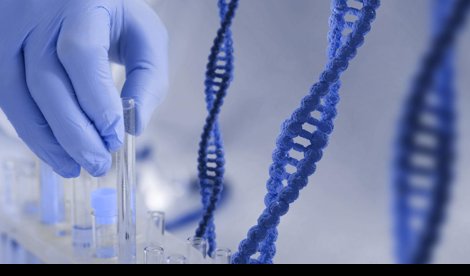 Investigación