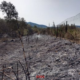 Imatge de l'incendi a Montblanc