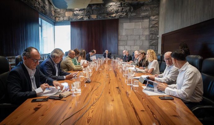 Reunión del Consejo Asesor del Presidente de Canarias
