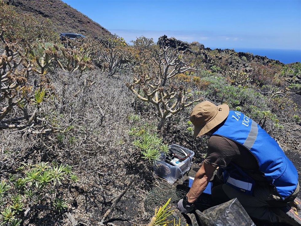 La Universidad de Granada desarrolla en Fuencaliente un estudio para localizar magma acumulado en el subsuelo