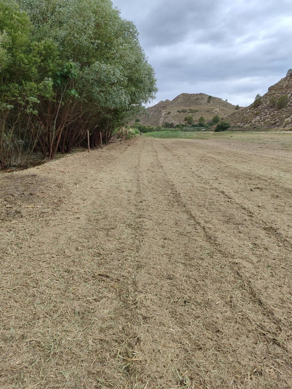 ZEPA Sierra del Molino, Embalse del Quípar y Llanos del Cagitán